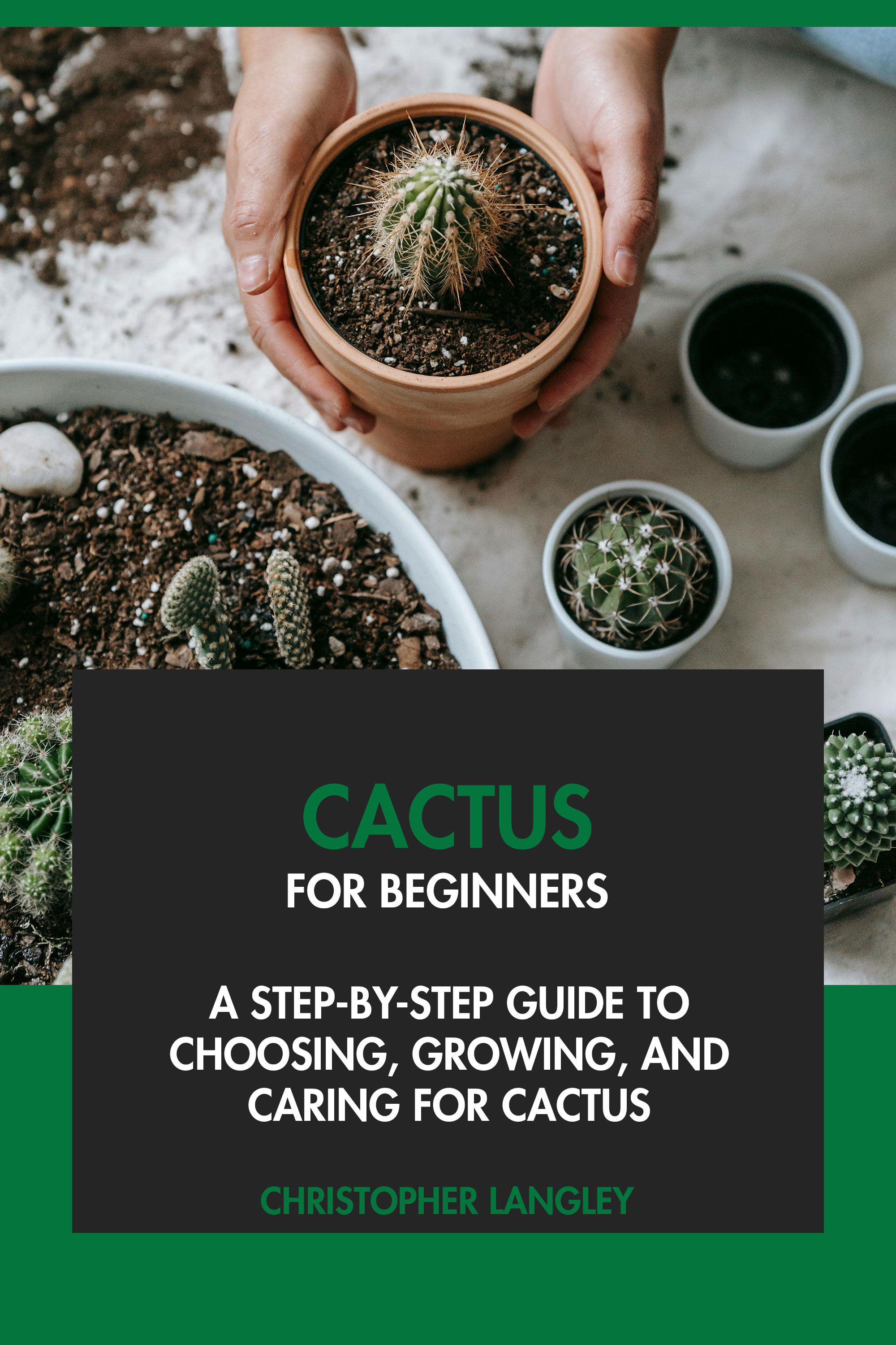 A Step-By-Step Guide to Choosing, Growing & Caring for Cactus.