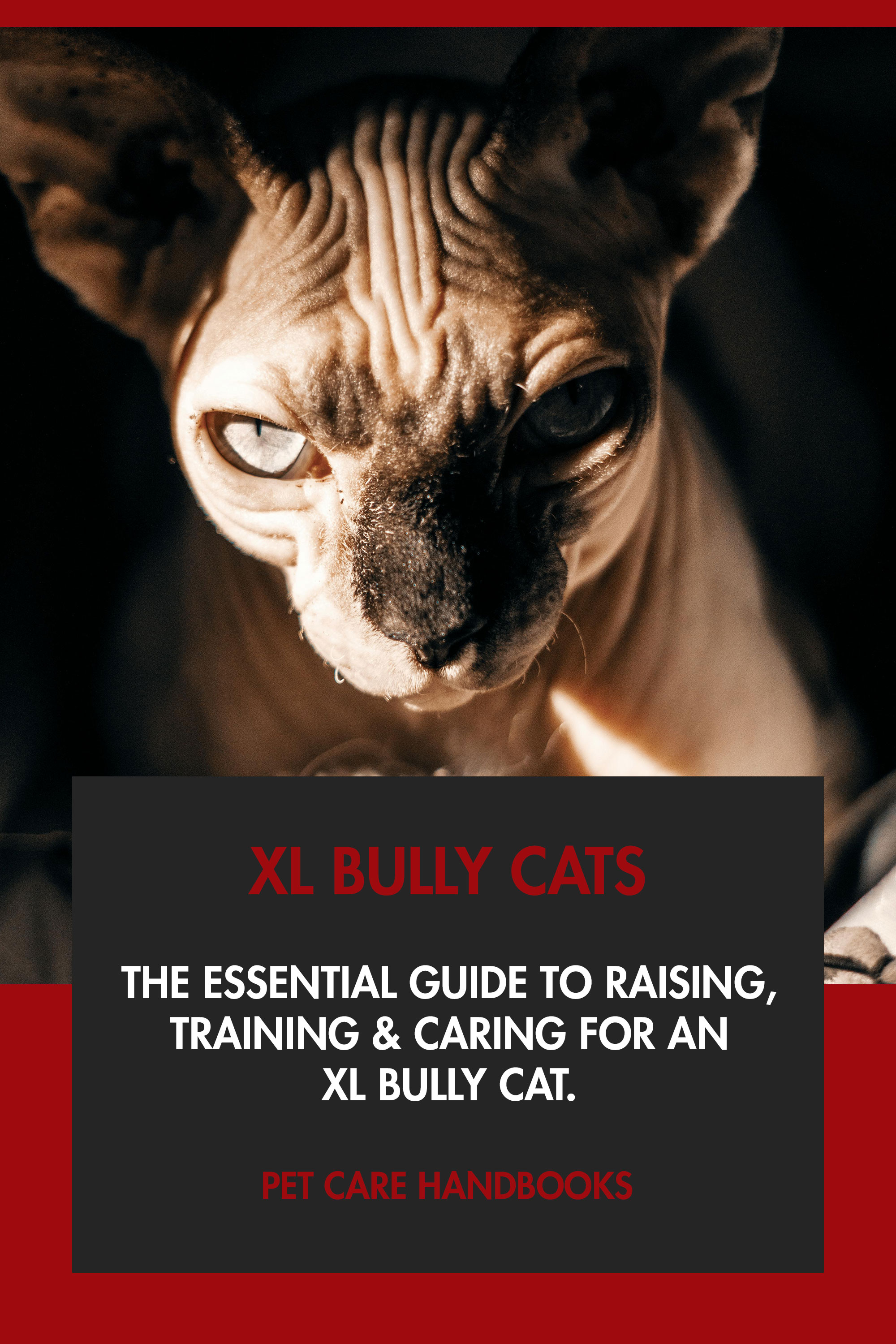 The Essential Guide to Raising, Training & Caring for An XL Bully Cat.